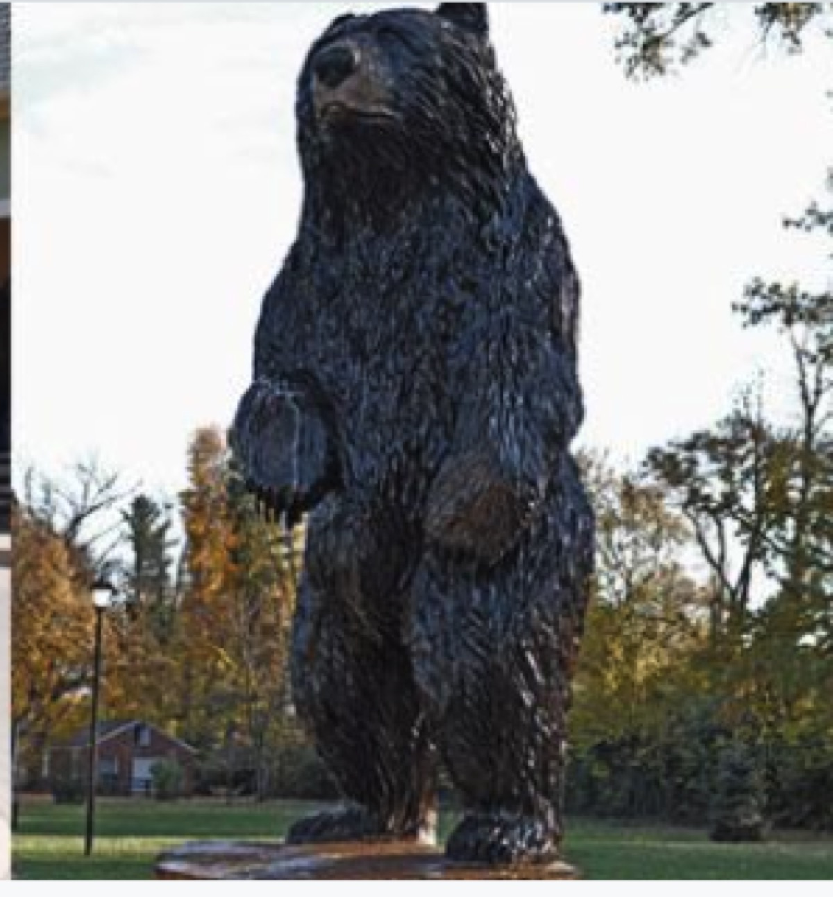 Bear statue in District 7 park